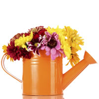 Watering Can with Mums