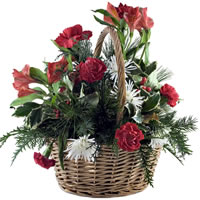 Basket of Carnations