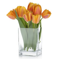 Golden Tulips Vase