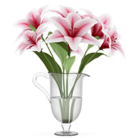 Stargazer Lilies Vase