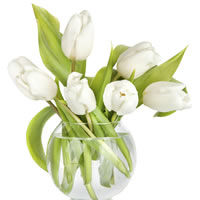 White Tulip Vase