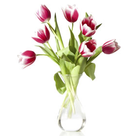 Tulip Vase